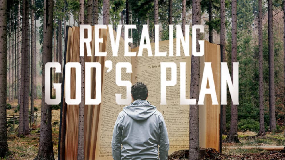 God Has a Plan for Your Life Image